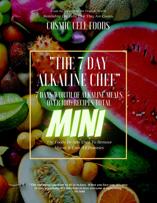 "The 7 Day Alkaline Chef" Mini Cookbook - 7 Days Worth Of Alkaline Meals - The Cosmic Chef